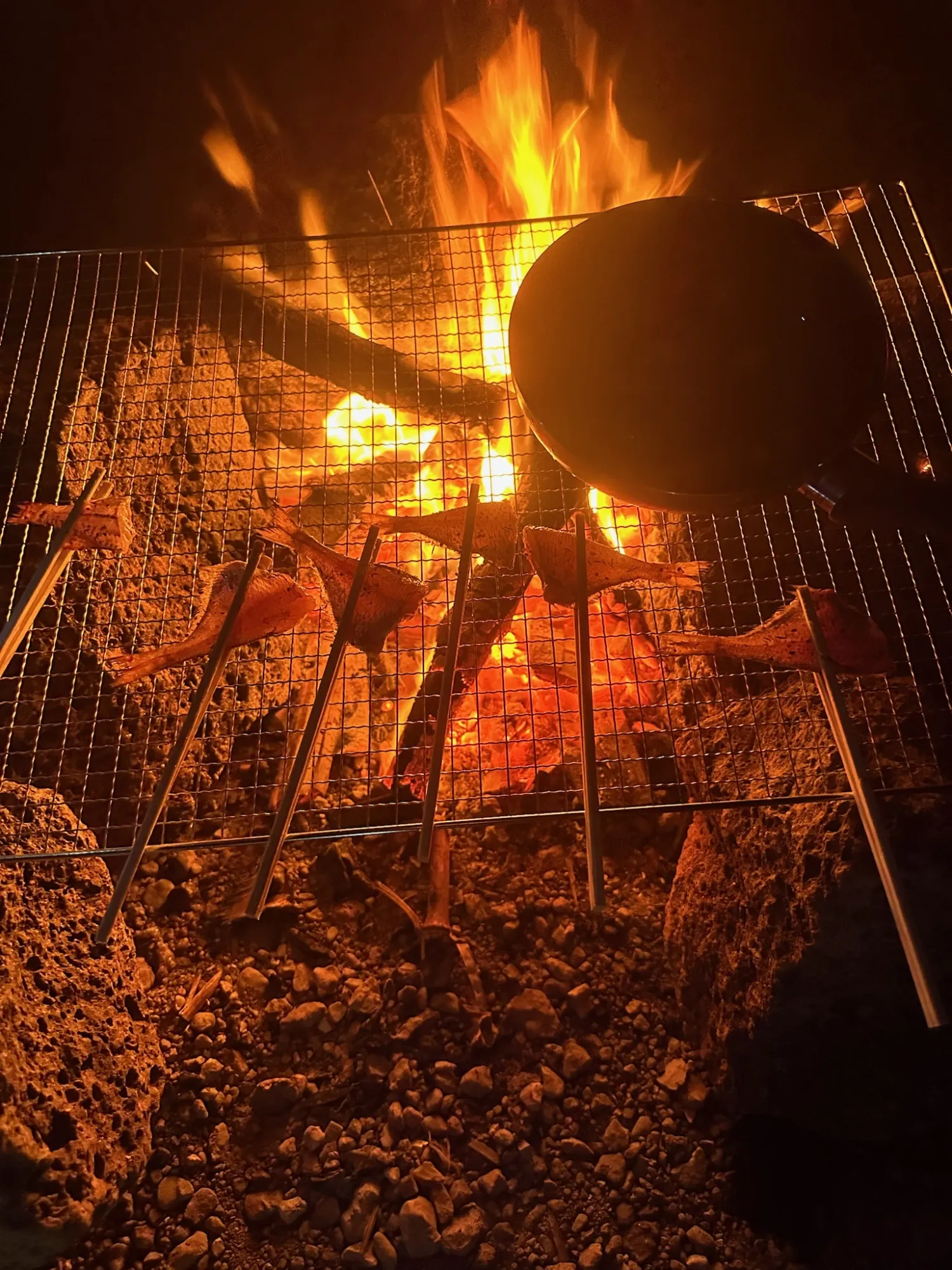 溶岩焚き火台で魚を炙る様子